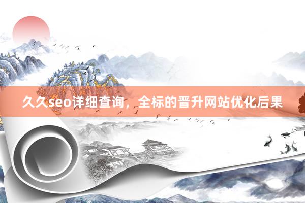 久久seo详细查询，全标的晋升网站优化后果