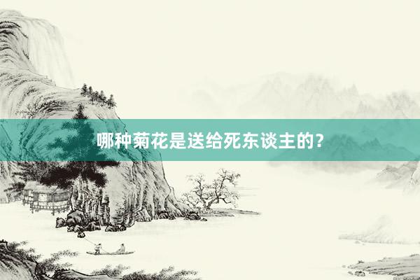 哪种菊花是送给死东谈主的？